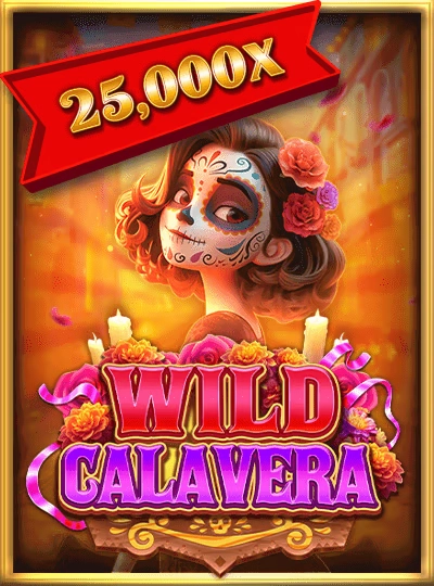 Cricket betting game cover